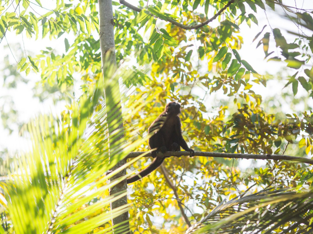 Nosara B&B Retreat主图