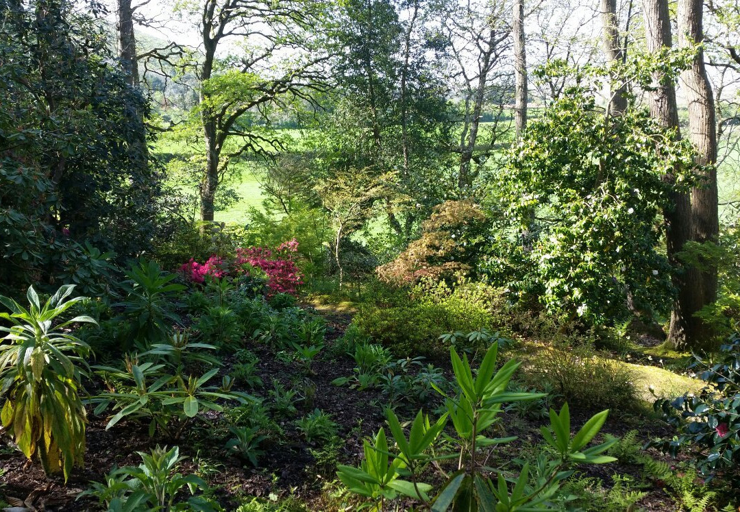 Greencombe Gardens景点图片