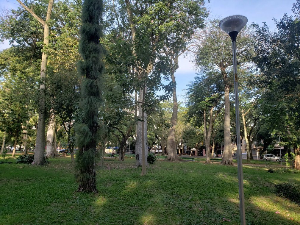 Parque da Redencao景点图片