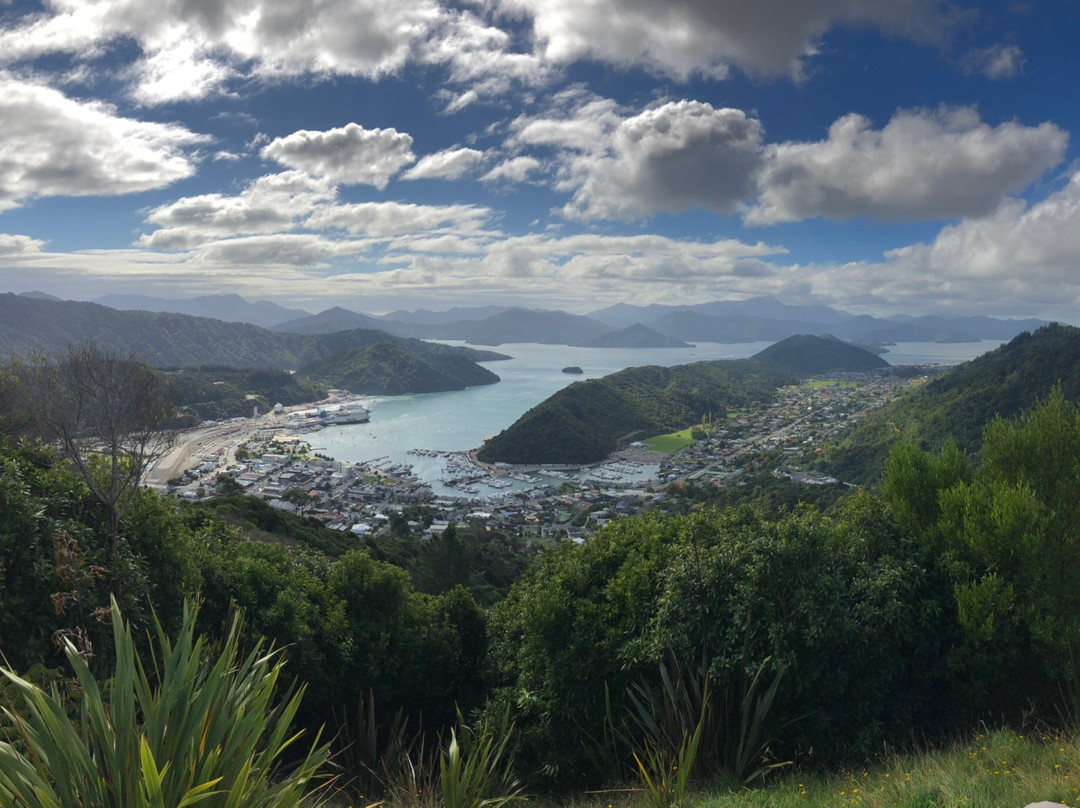 Tirohanga Track景点图片