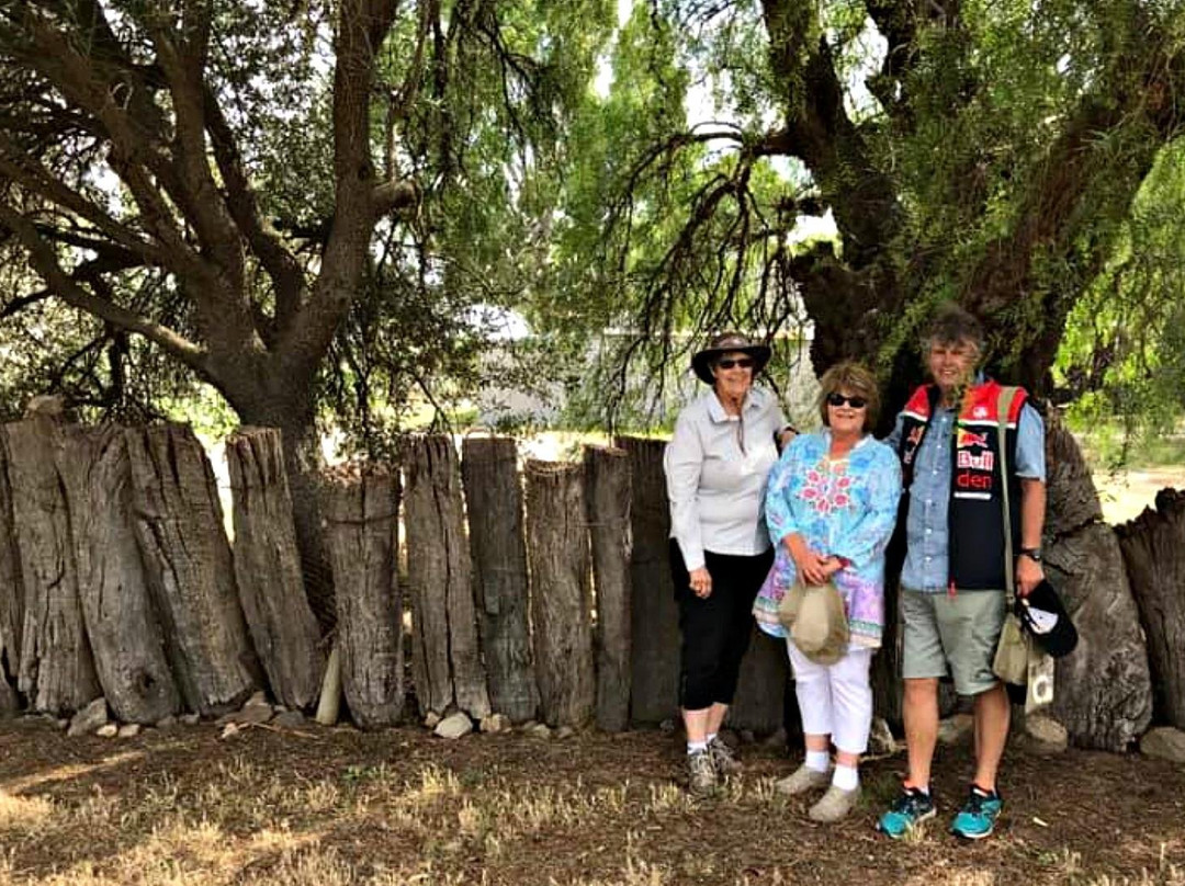 Barossa Walks景点图片