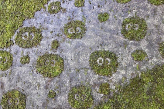 Totoro no Koke Art-东秩父村必去景点