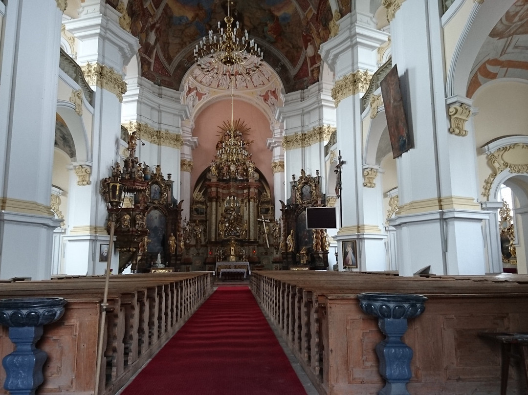 Koscioł Wniebowziecia Najswietszej Marii Panny i sw. Maternusa景点图片