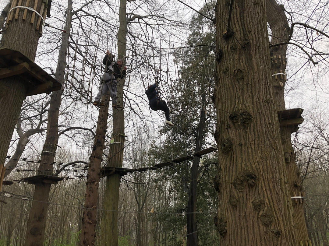 Go Ape Leeds Castle景点图片