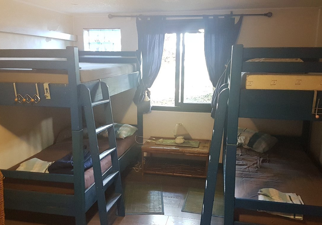 Rougail Mangue主图