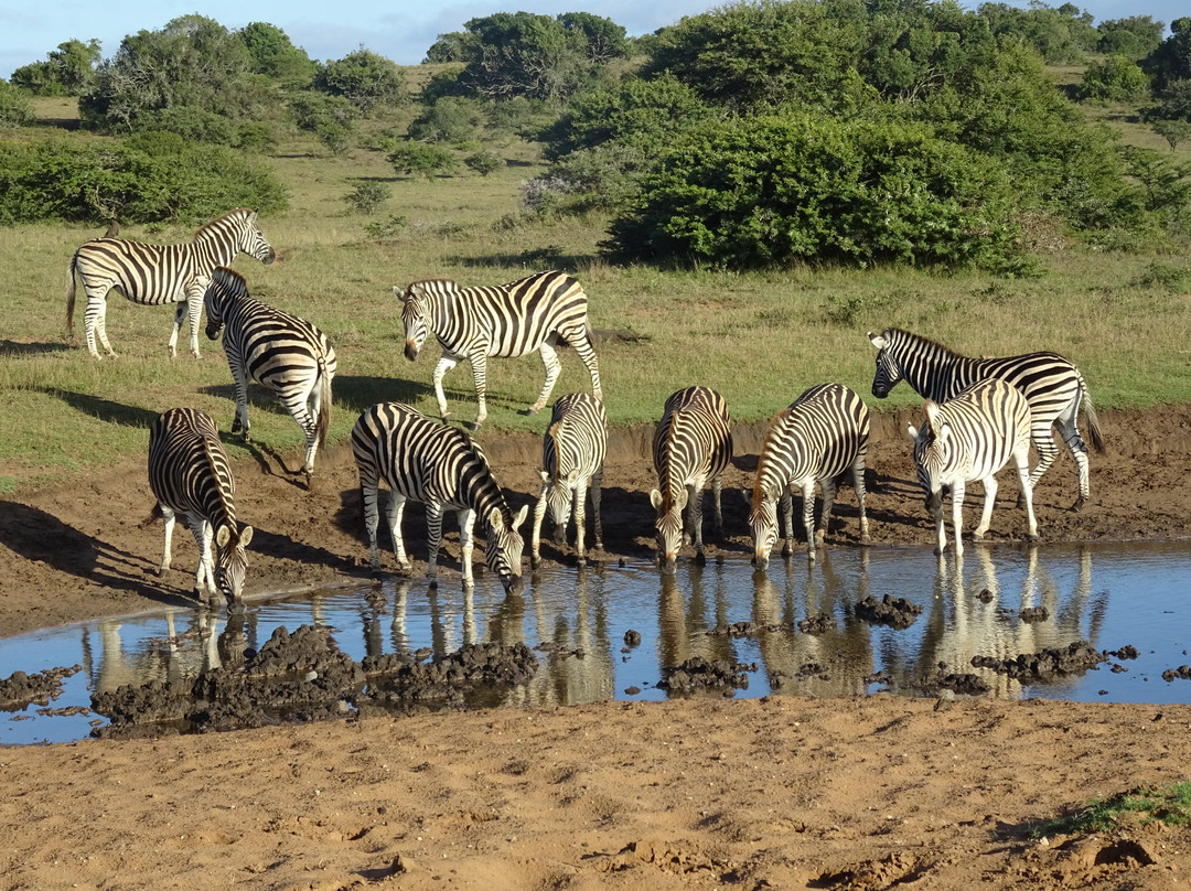 Carnarvon Dale Lodge主图