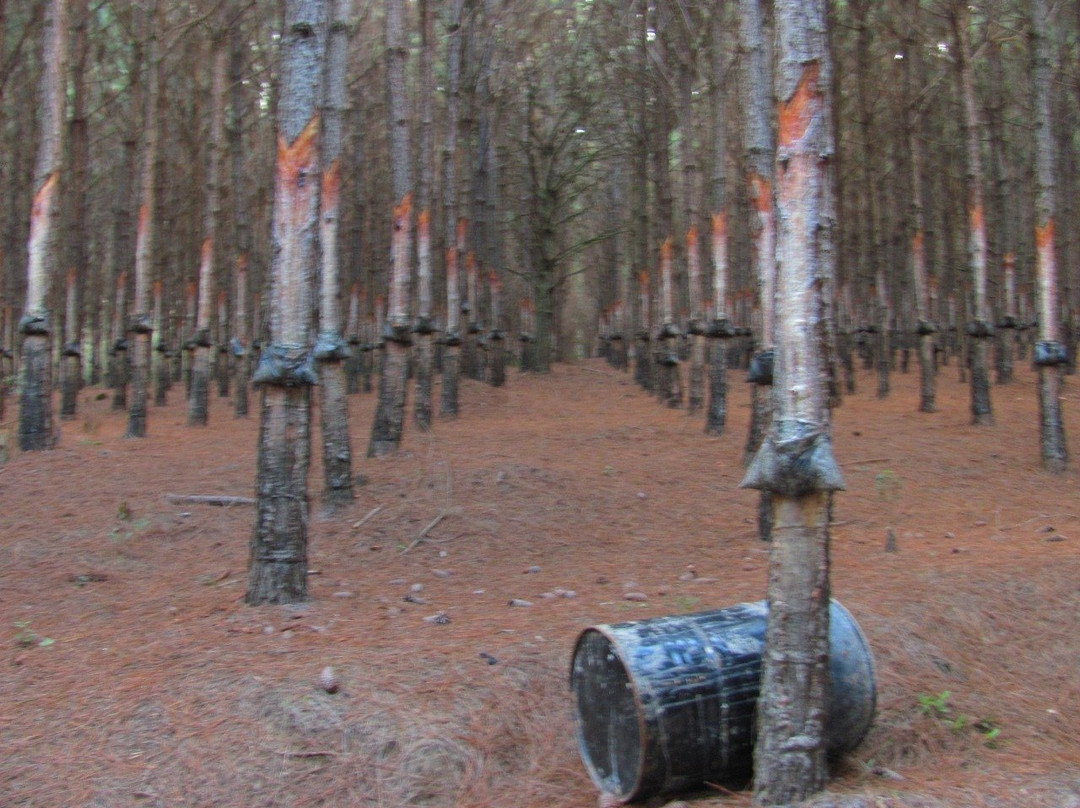 Poco do Encanto-森热斯必去景点