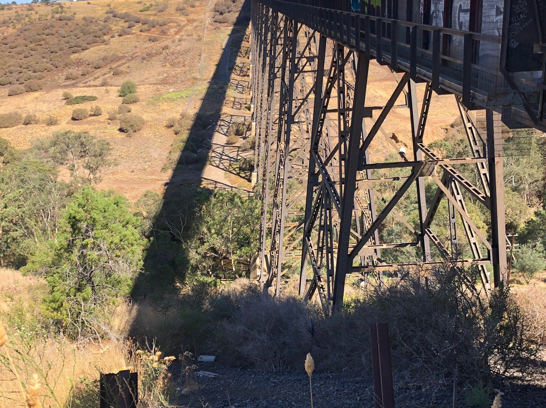 Maribyrnong Viaduct Bridge景点图片