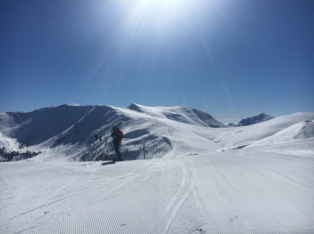 Gasthof Raufner主图