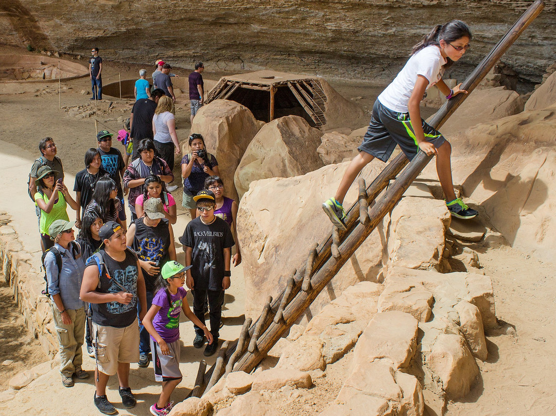 Crow Canyon Archaeological Center-科尔特斯必去景点
