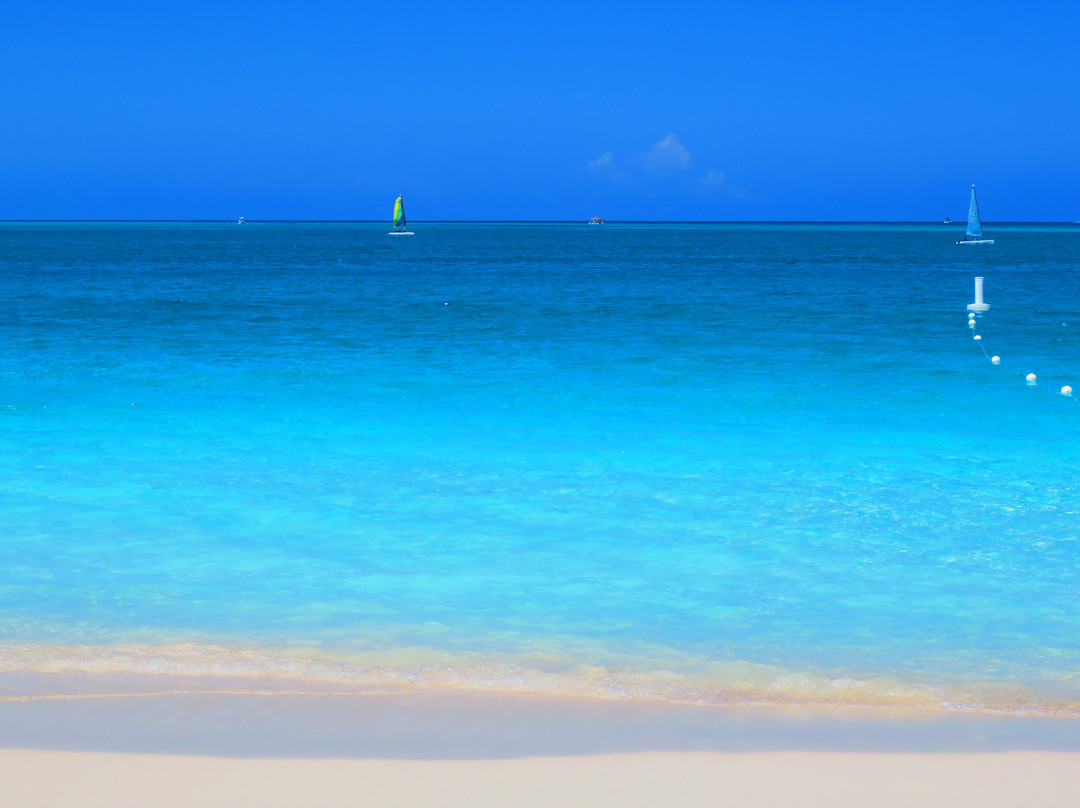 The Oasis at Grace Bay主图