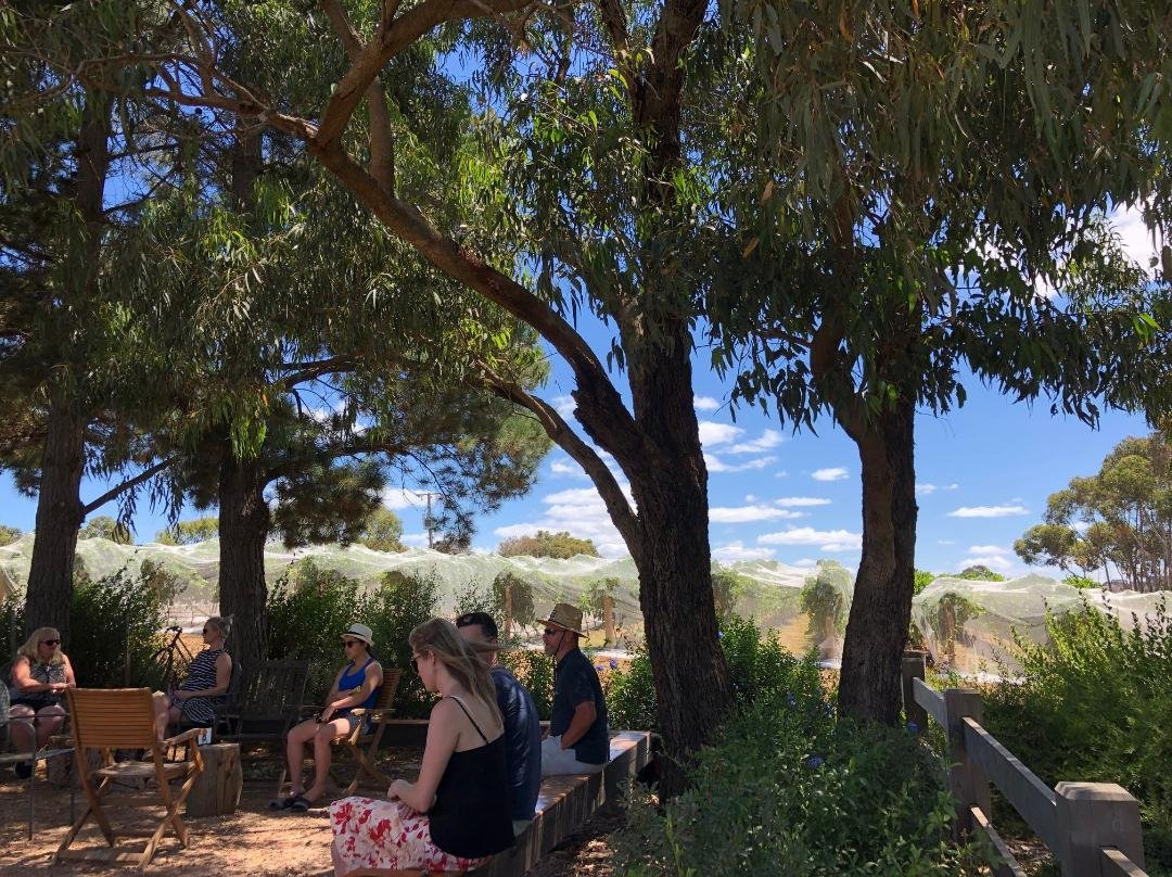 Franscene Bellarine-St Leonards必去景点