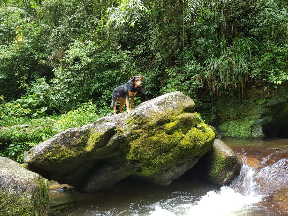Cachoeira dos Macacos-Maromba必去景点