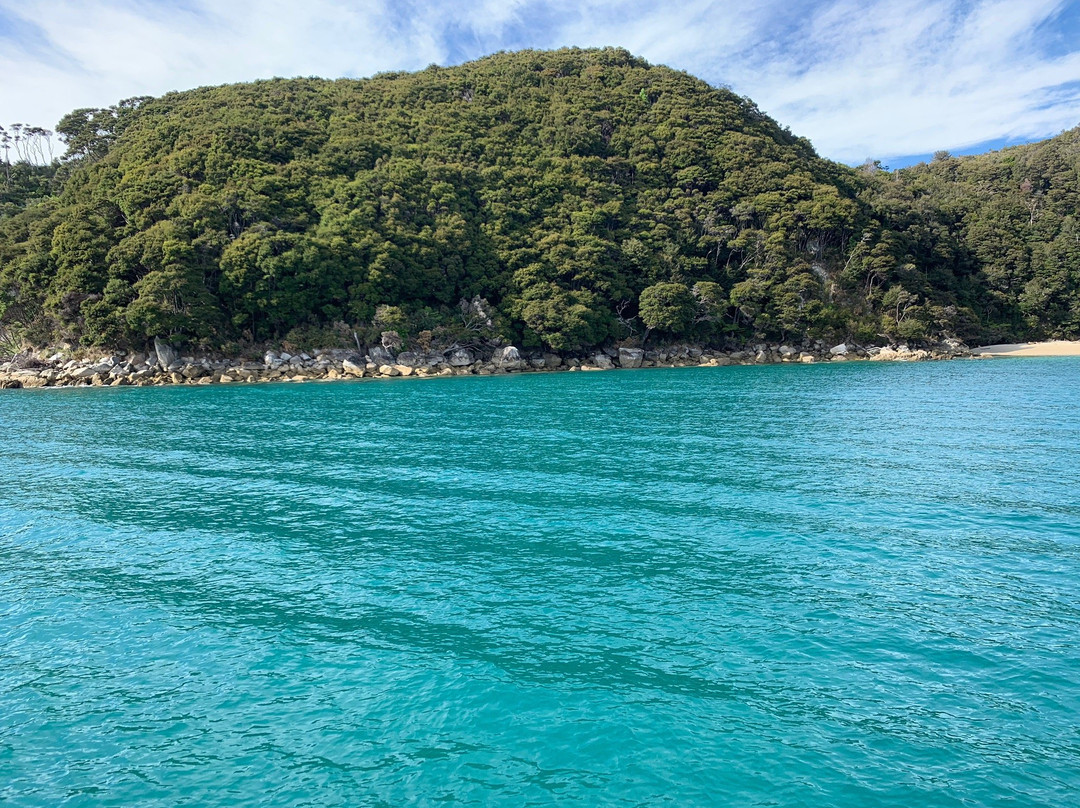 Abel Tasman Sea Shuttle Ltd景点图片