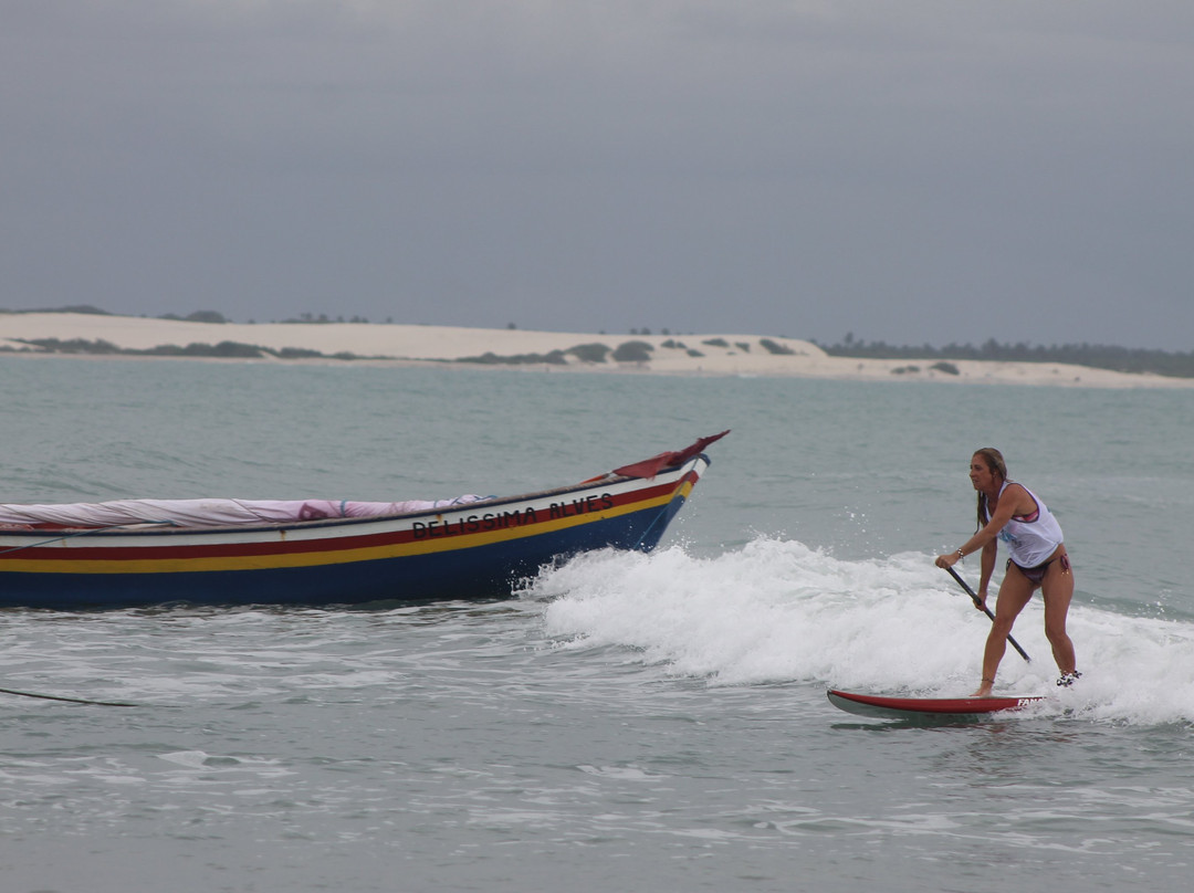 Bob Wind School-杰里科科拉必去景点