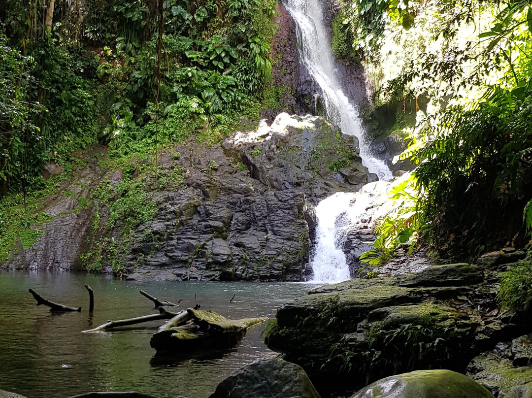 Saut de Bras de Fort景点图片