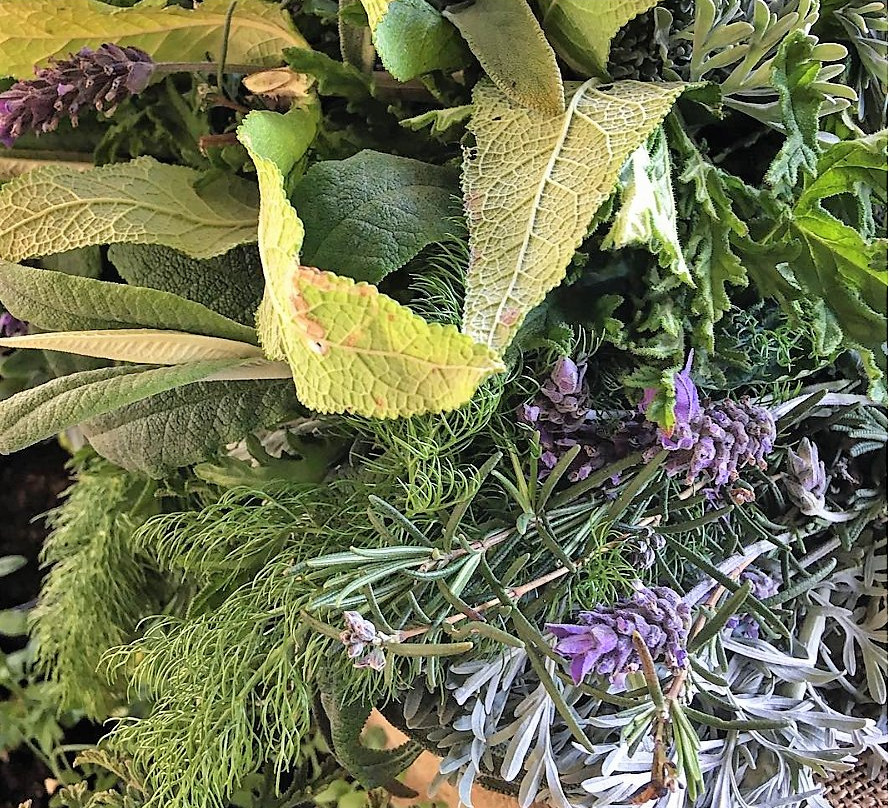 Ecoferia-圣地亚哥必去景点