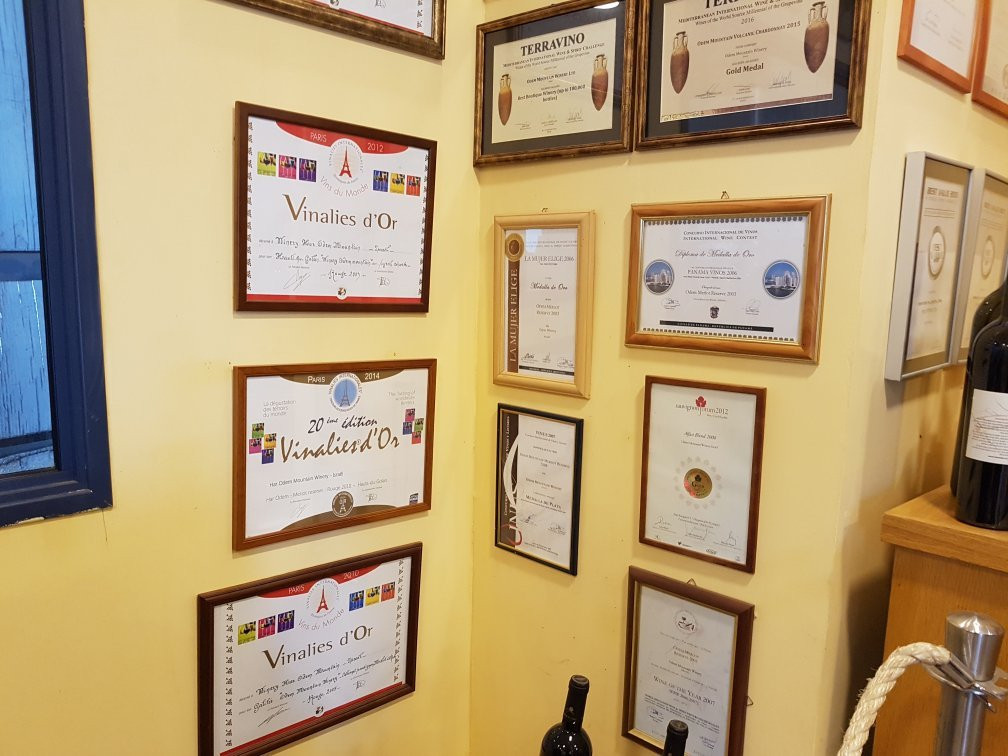 Odem Mountain Winery-Odem必去景点