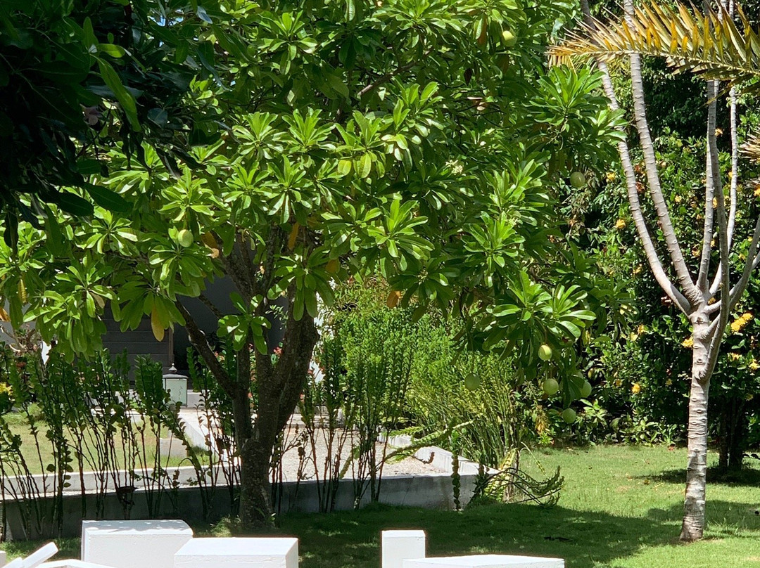 阿姆拉宫酒店主图