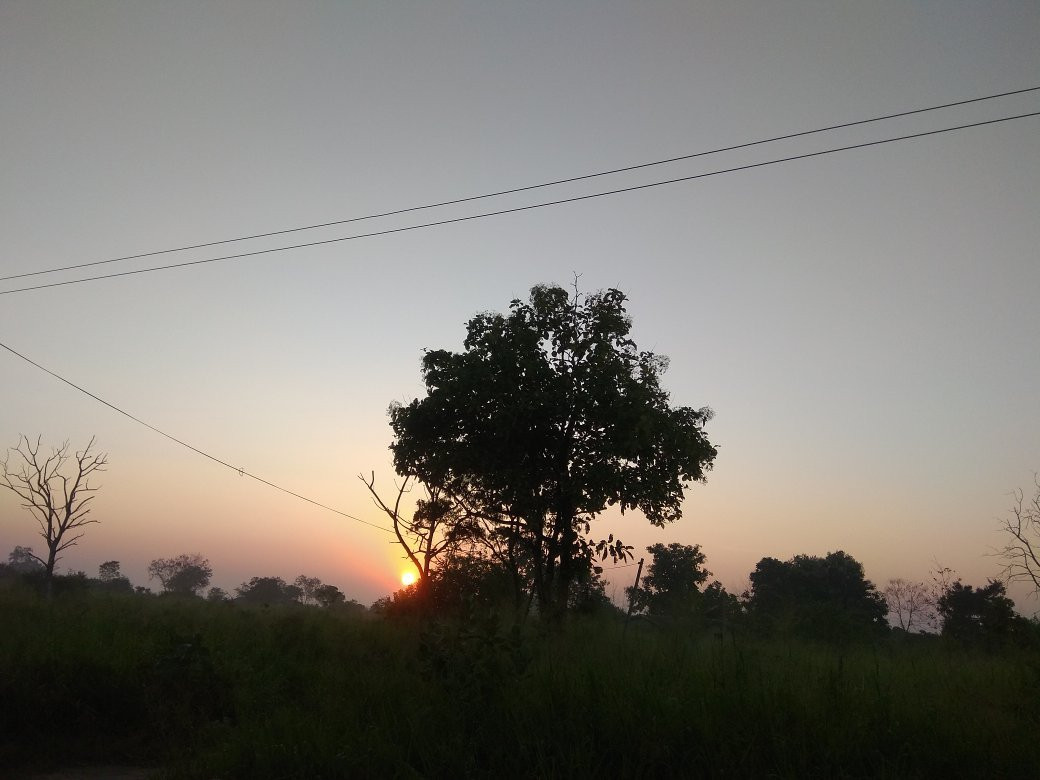 Ceylon Nature Tours景点图片