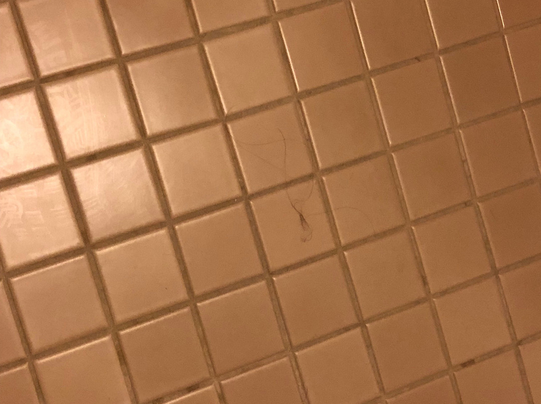 棕榈岛汽车旅馆主图