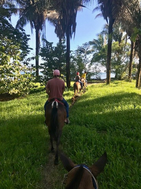 Bosque del Cabo Rainforest Lodge主图