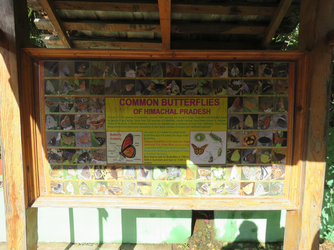 Gopalpur Zoo景点图片