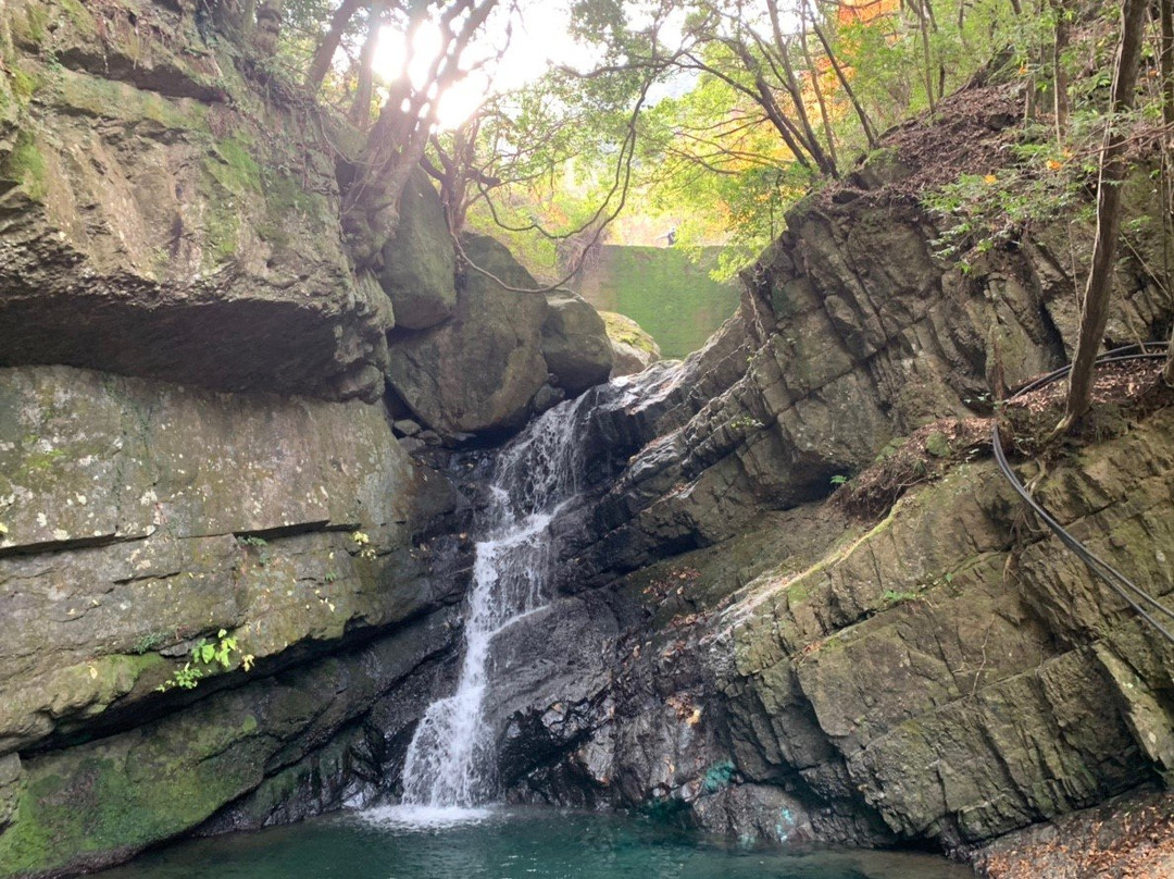 Daiitokuji Temple-岸和田市必去景点