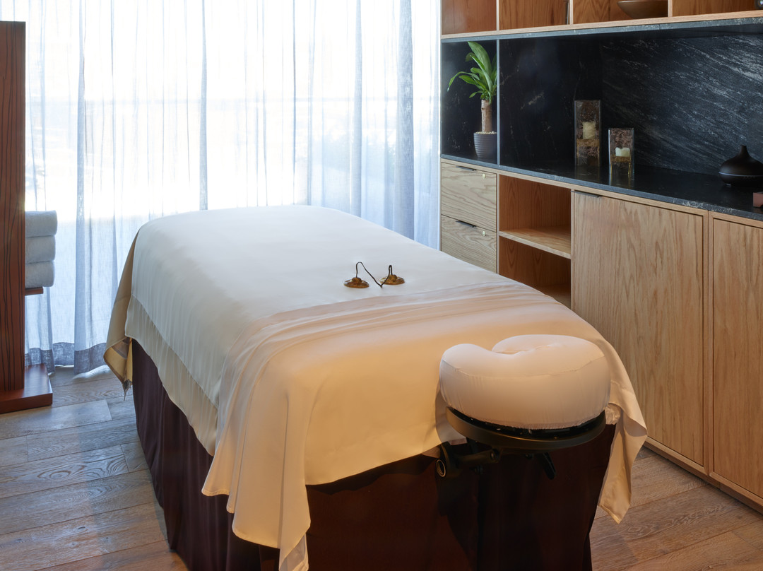 Fiesta Americana Mexico Satelite