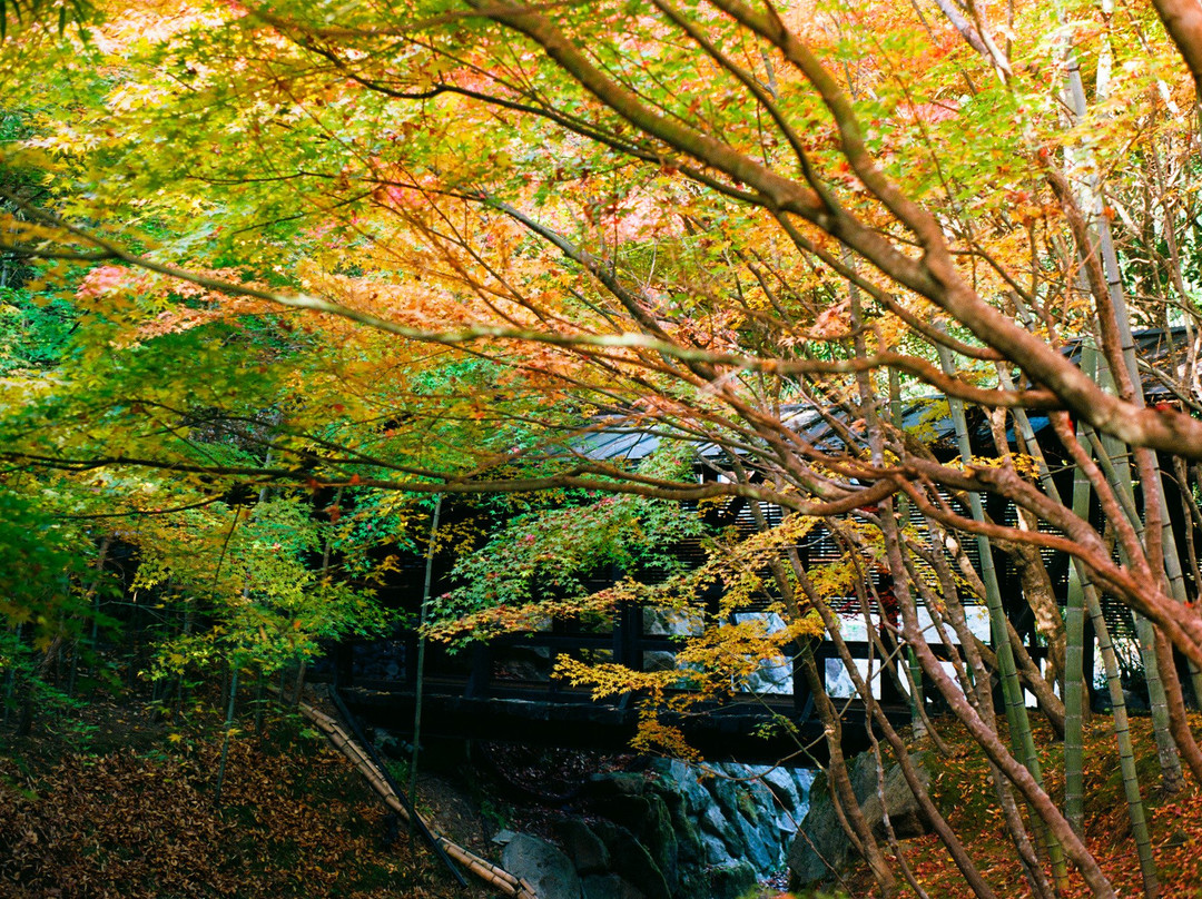 熊本山庄竹笛温泉旅馆主图