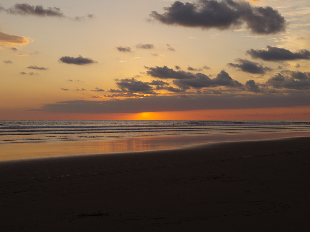 Hotel Delfin Playa Bejuco主图