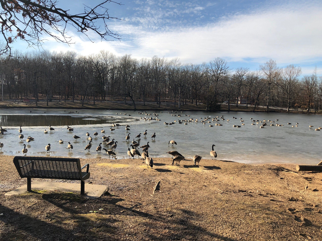 Dunnegan Memorial Park-Bolivar必去景点