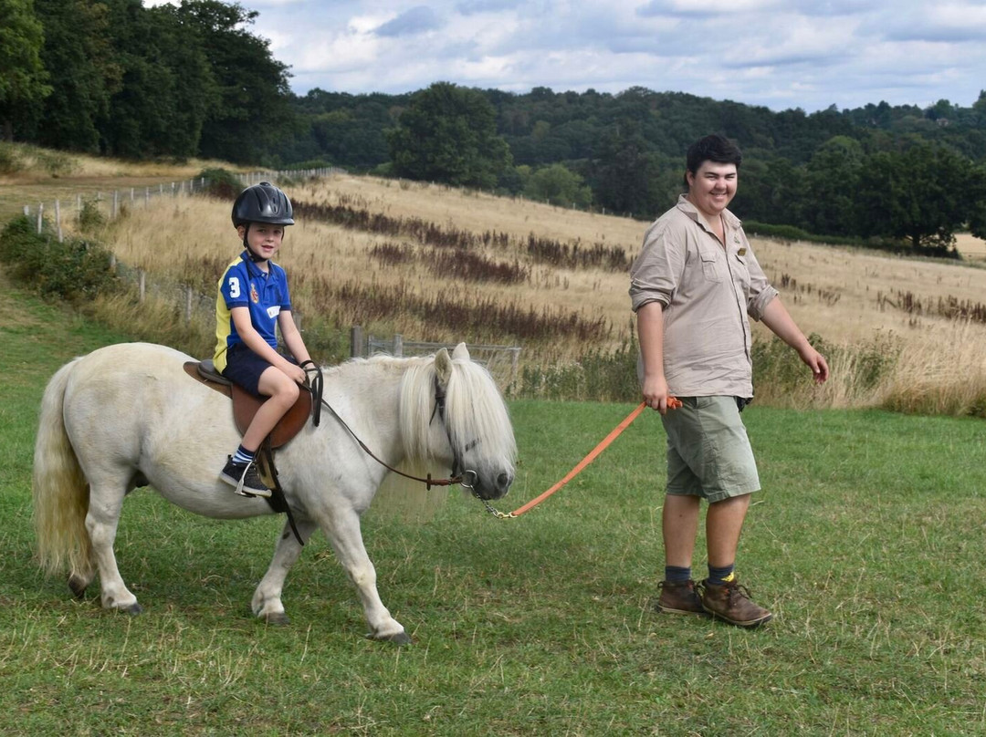Shetland Pony Club景点图片