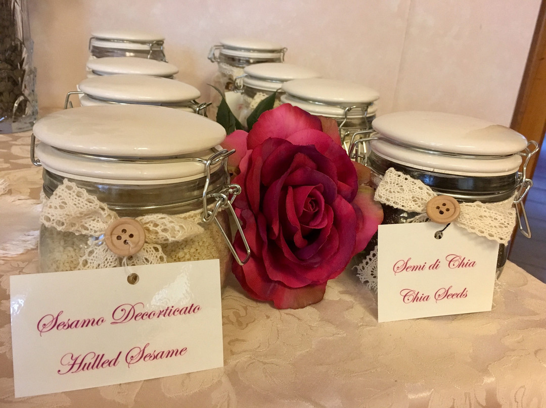 切塞纳酒店住宿-亚历山大酒店