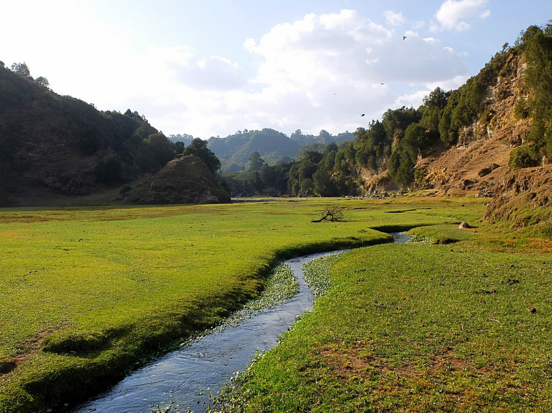 The Wenchi Eco-Tourism Association- Day Tours景点图片