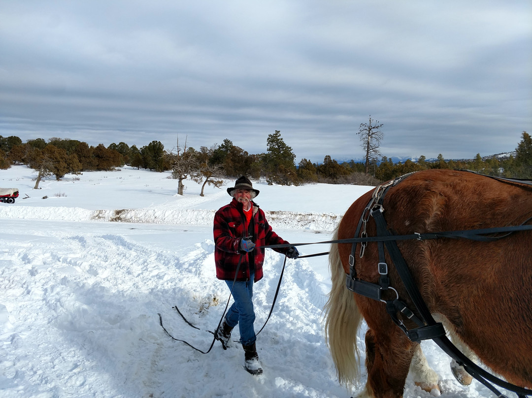 Telluride Horseback Adventures - Ride with Roudy-特柳赖德必去景点