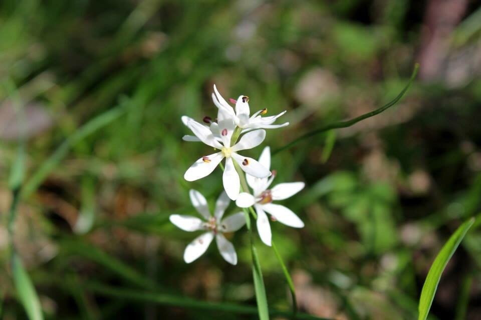 Benambra National Park-Culcairn必去景点