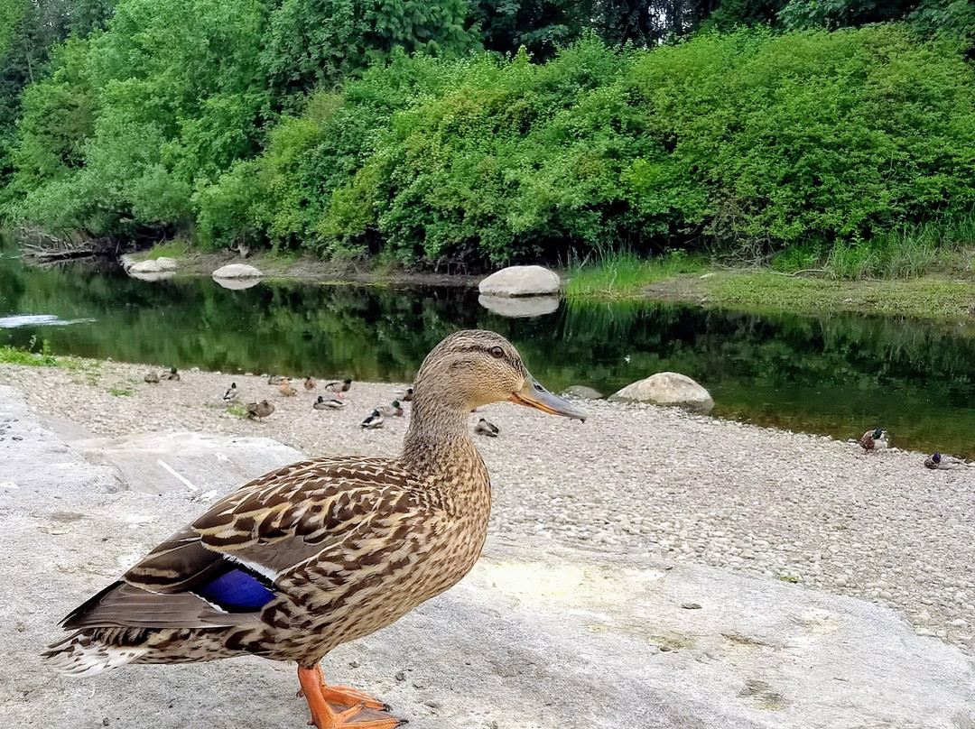 Sammamish River Trail-雷德蒙德必去景点