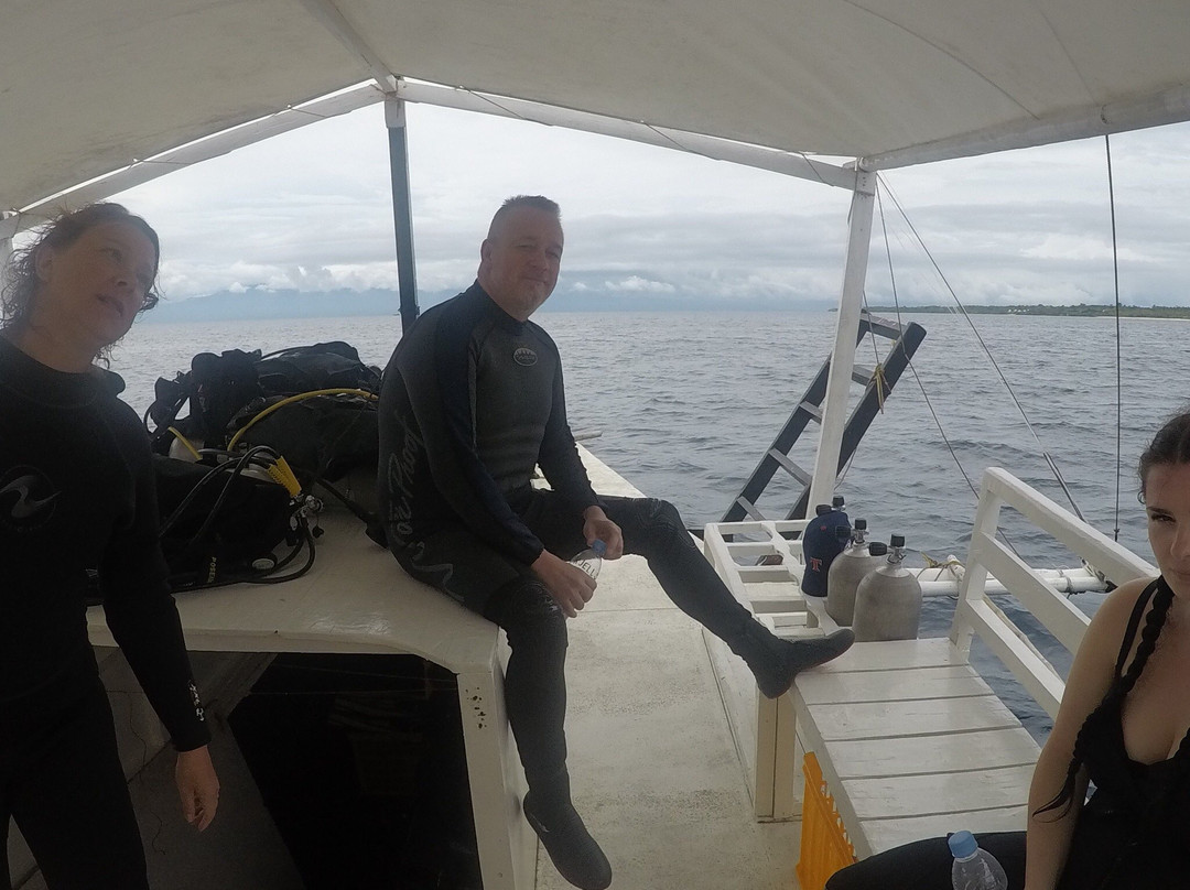 Oceanlife Explorers主图