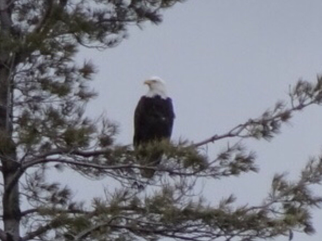 Shelburne Bay Park-谢尔本必去景点