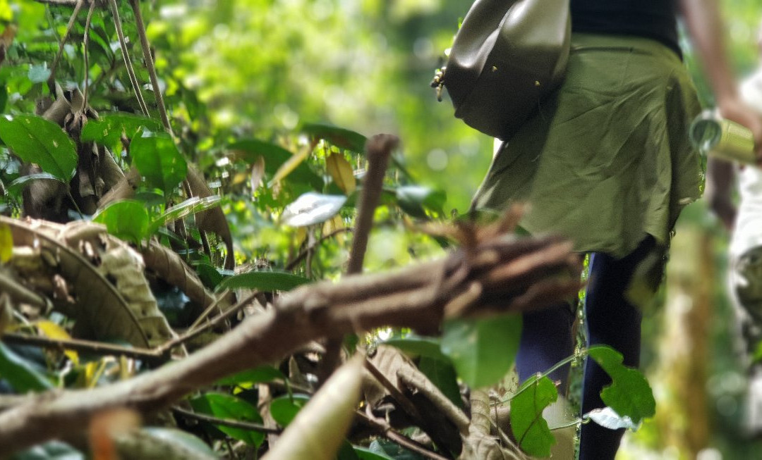 Royal Mile Budongo Forest-马辛迪必去景点
