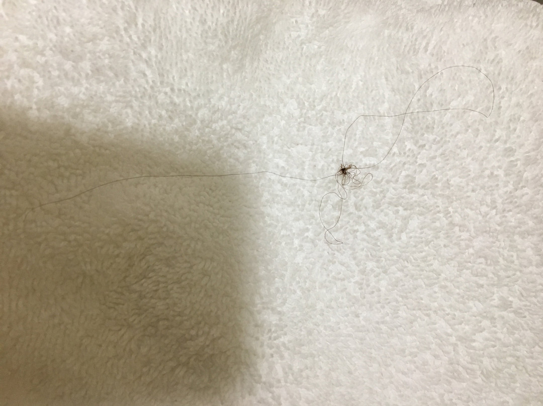 Surestay Plus By Best Western Covington主图