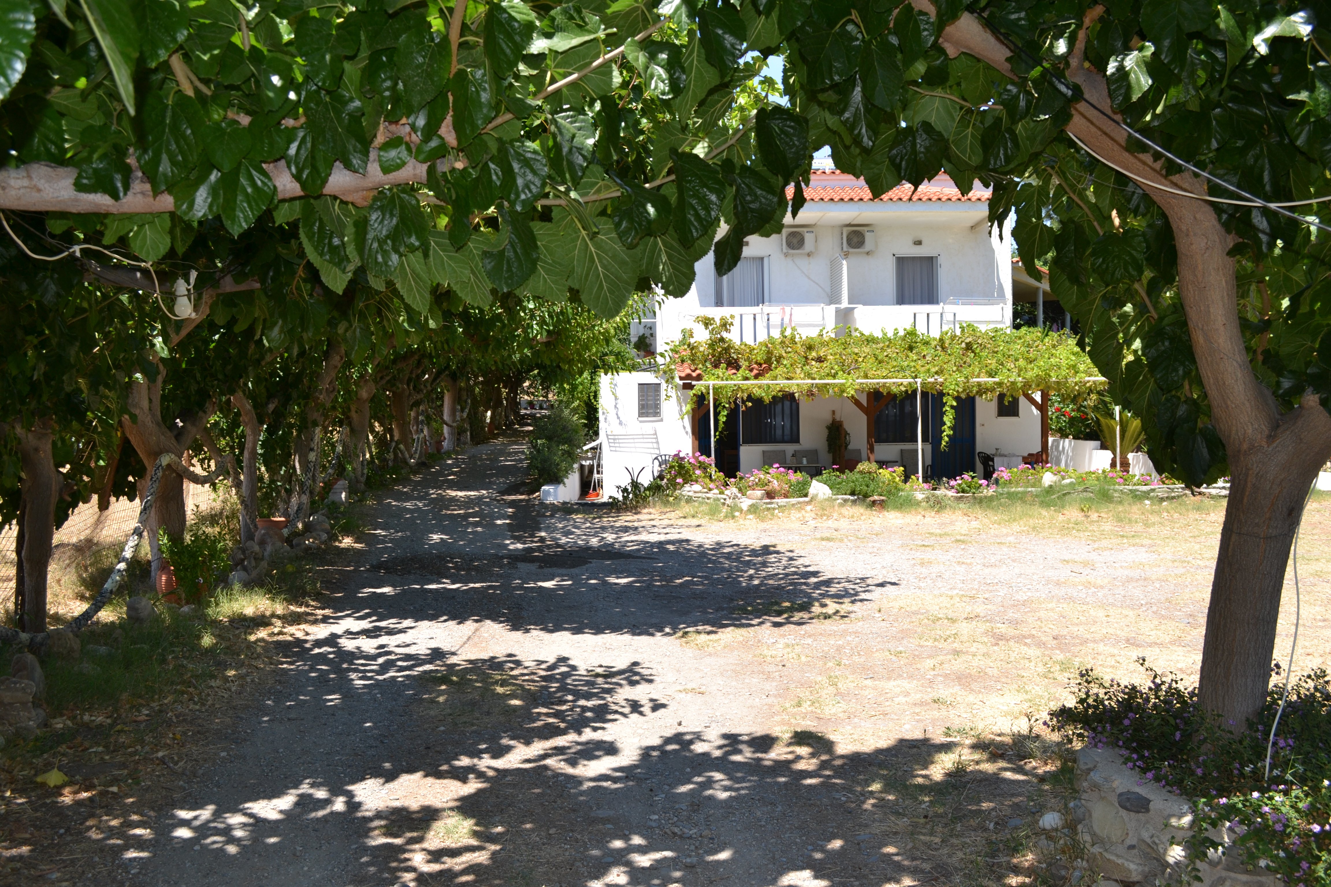 IOS Paleochora-浴室