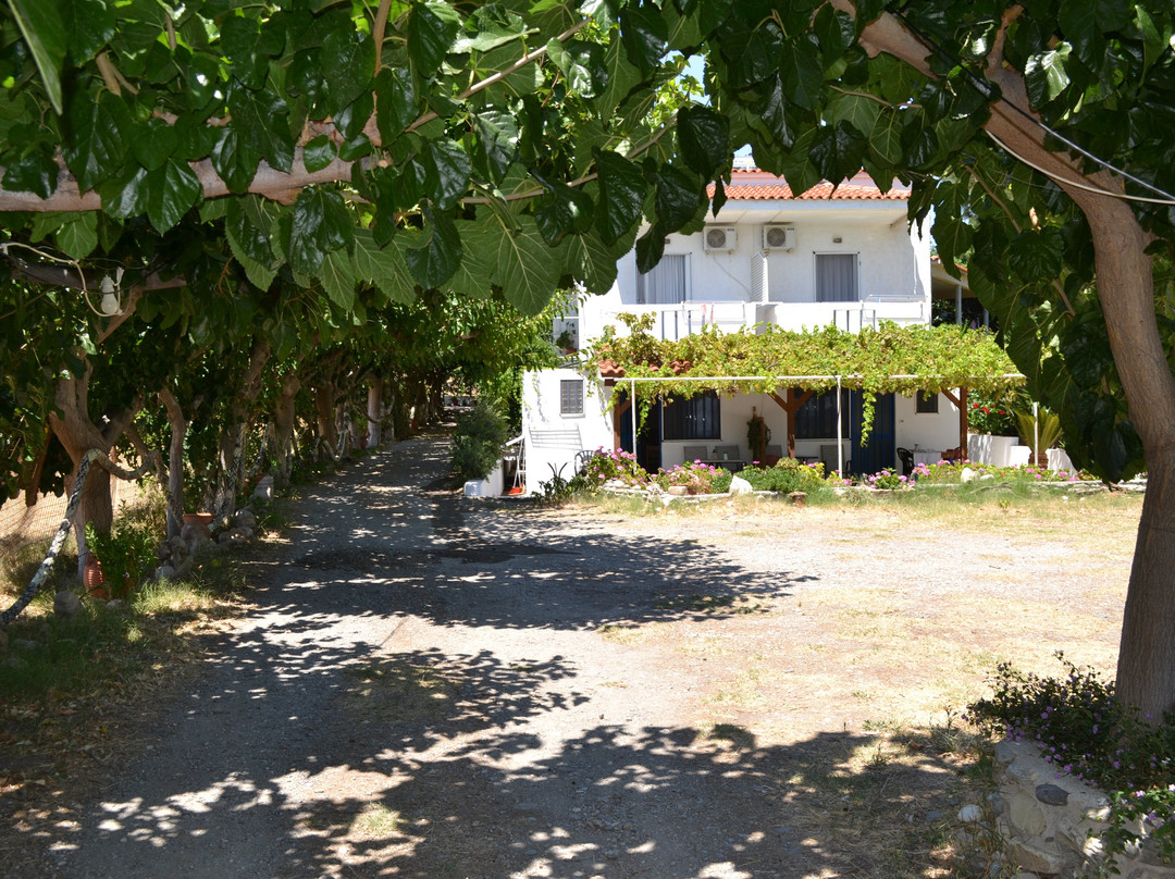 IOS Paleochora主图