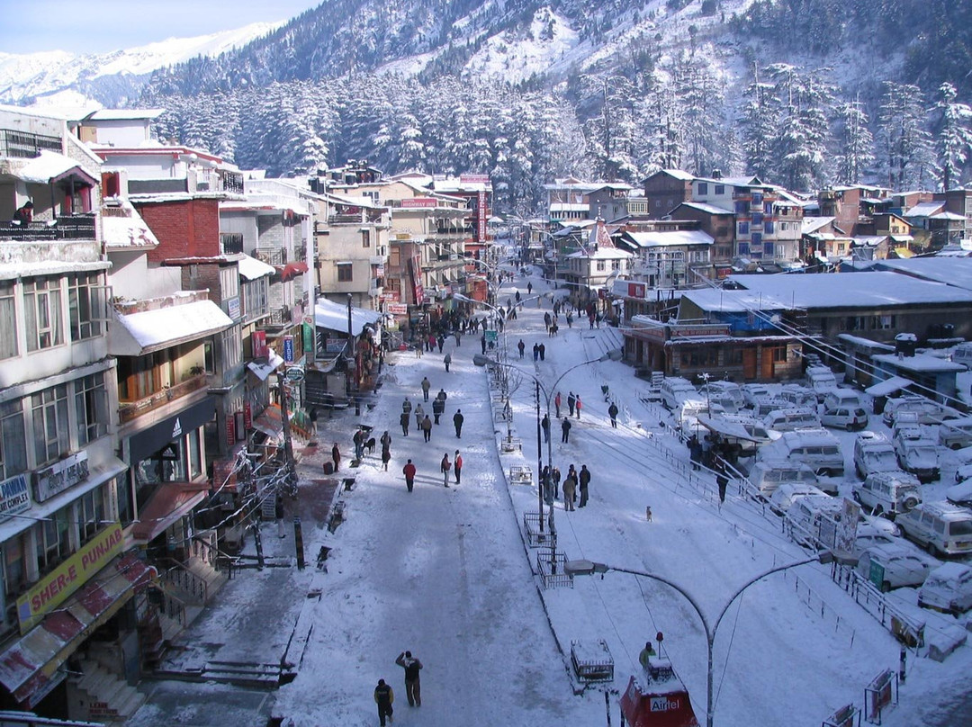 Manali Picnic Spot and Camps景点图片