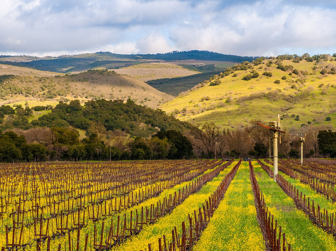 Yountville Chamber of Commerce & Welcome Center景点图片