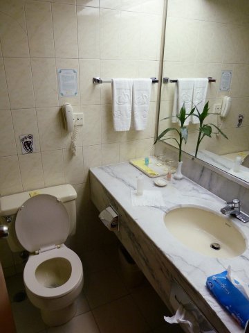 杭州华侨饭店（西湖音乐喷泉店）-浴室