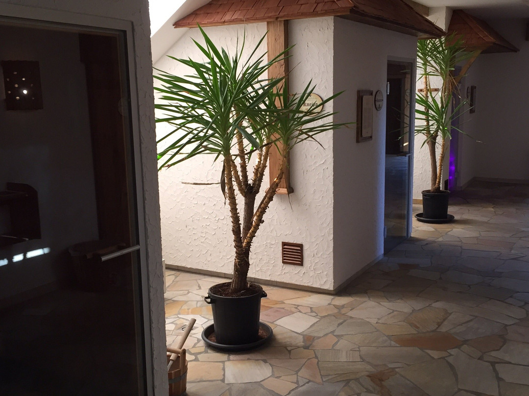 Grandhotel Niederoesterreichischer Hof主图