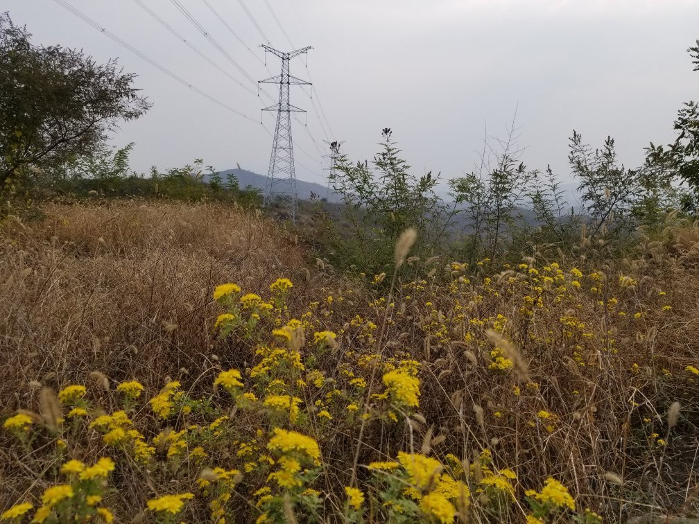 天梯山-广宗县必去景点