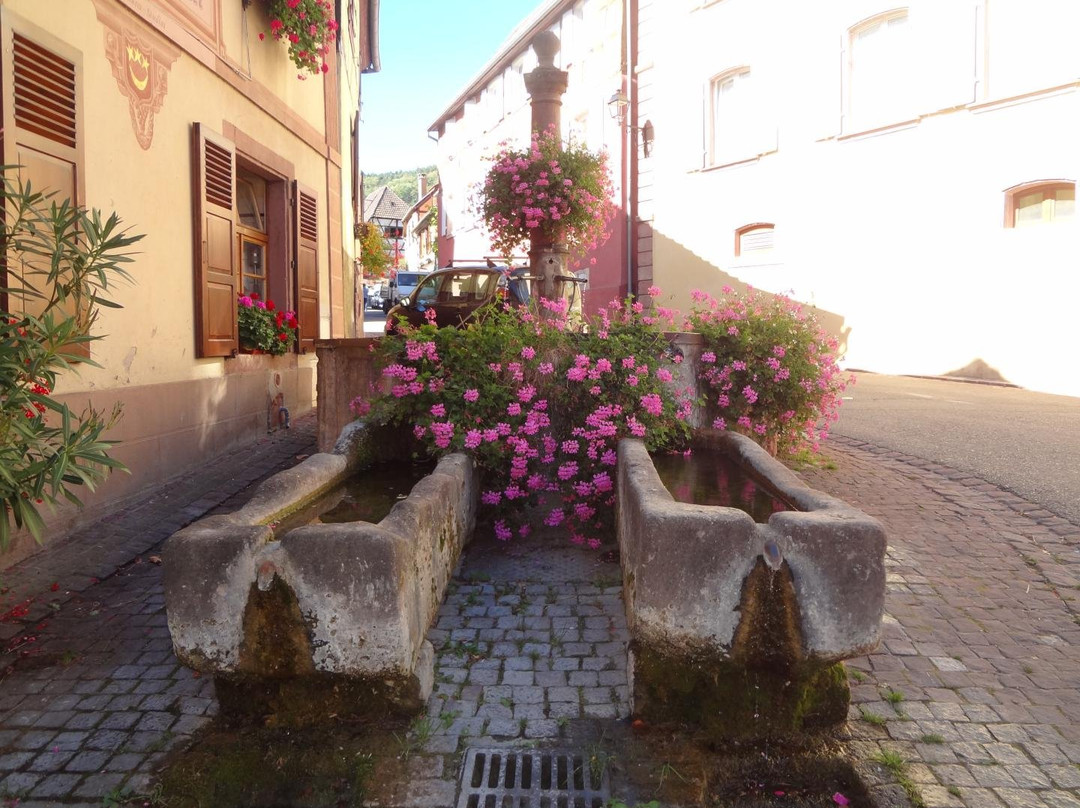 Fontaine Sainte Hune景点图片